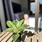 Skyline Albert Luxury 2 A Proximite De La Gare Casa Voyageurs Casablanca